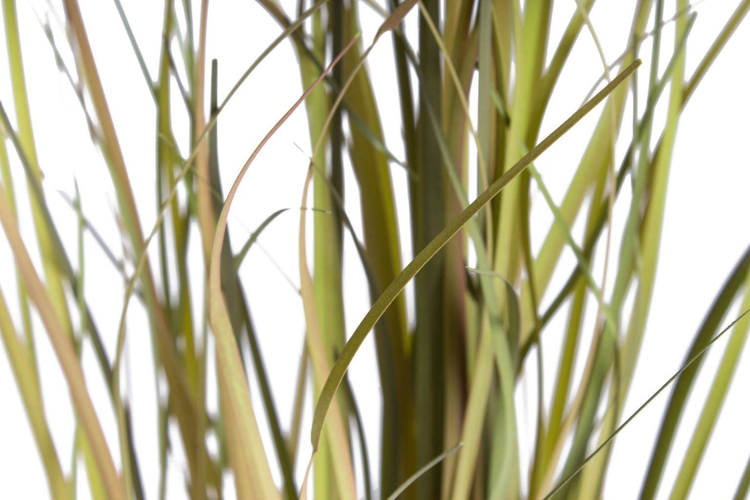 Kunstgras Grasarrangement Gras, Botanic-Haus, Höhe 48 cm