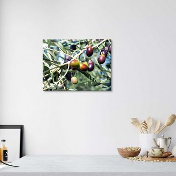 Posterlounge Leinwandbild Editors Choice, Olivenbaum im Sonnenlicht, Küche Mediterran Fotografie