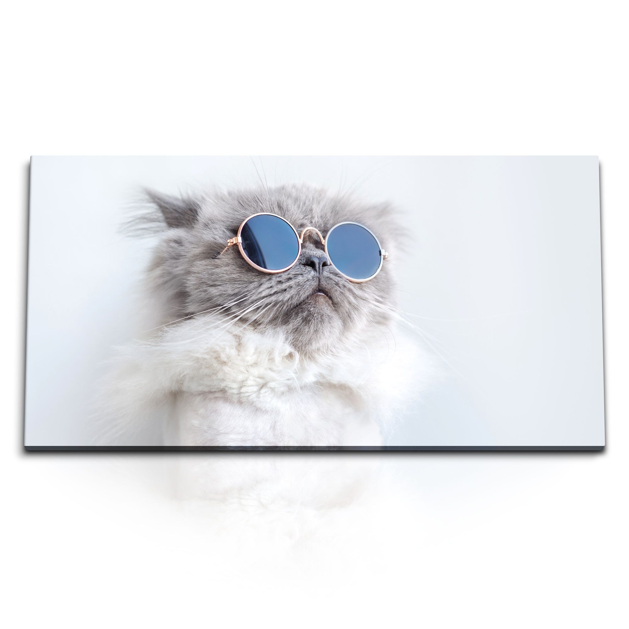 Leinwandbild Kunstdruck Bilder 120x60cm Katze mit Sonnenbrille Tierfotografie Kater
