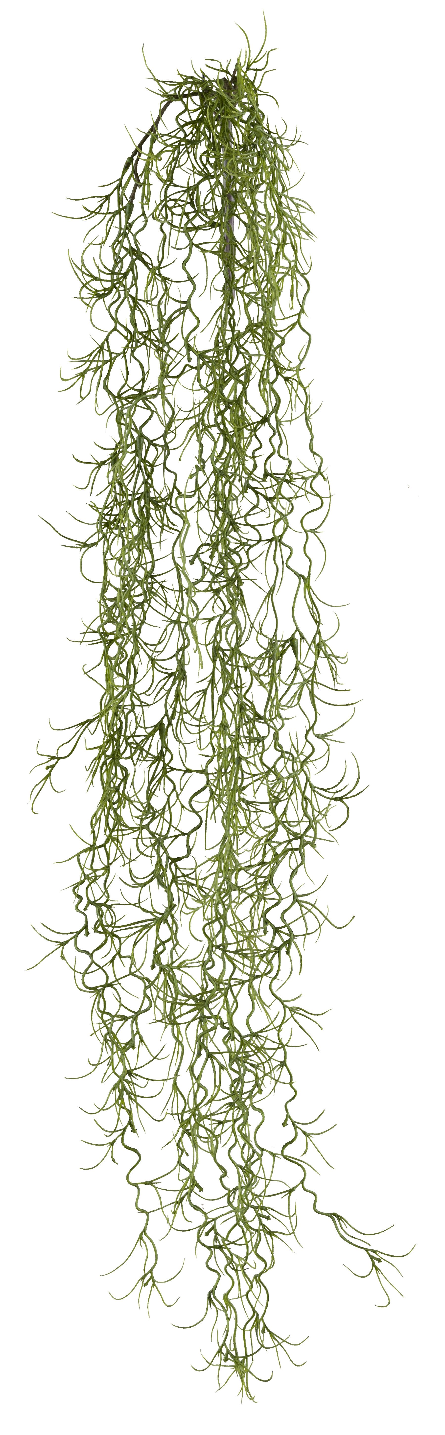 Kunstzweig Hängezweig Tillandsie, Creativ green, Höhe 80 cm, in schöner Grö günstig online kaufen