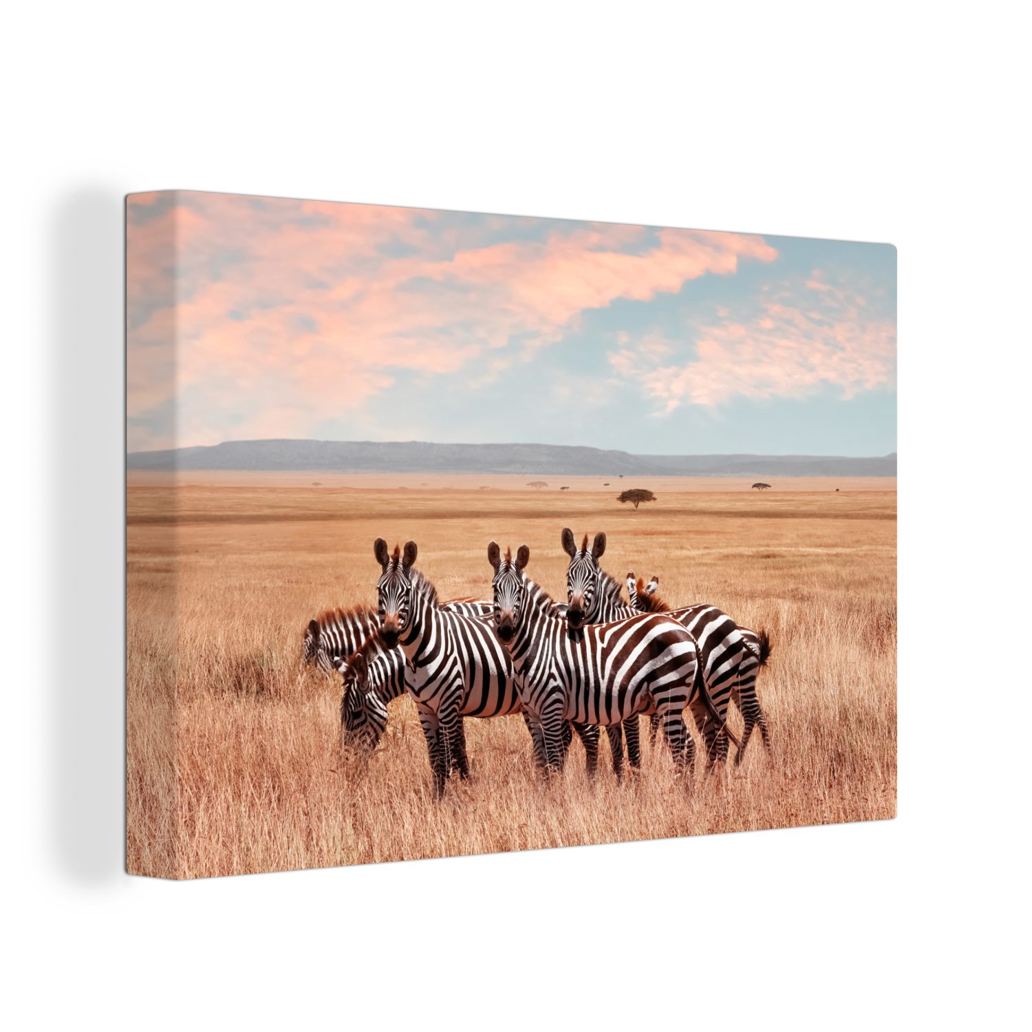 OneMillionCanvasses® Leinwandbild Zebras auf dem Lande, (1 St), Wandbild Leinwandbilder, Aufhängefertig, Wanddeko, 30x20 cm