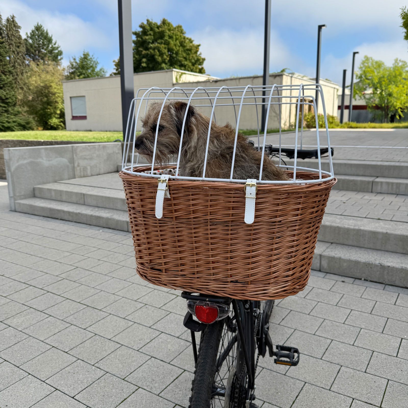 Aumüller Tierfahrradkorb hohe Polstereinlage CONFETTI für Fahrradkorb-Modelle 11/810/*** und...