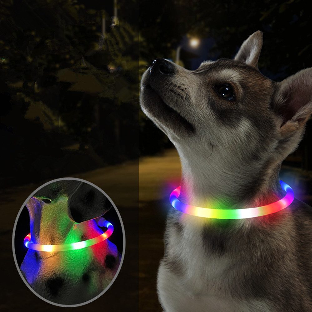 autolock Hundehalsbandleuchte Hundehalsband Leuchtend,LED Hundehalsband USB Aufladbar Regendicht, Schneidbar Silikon Leuchthalsband Hund Leuchtend