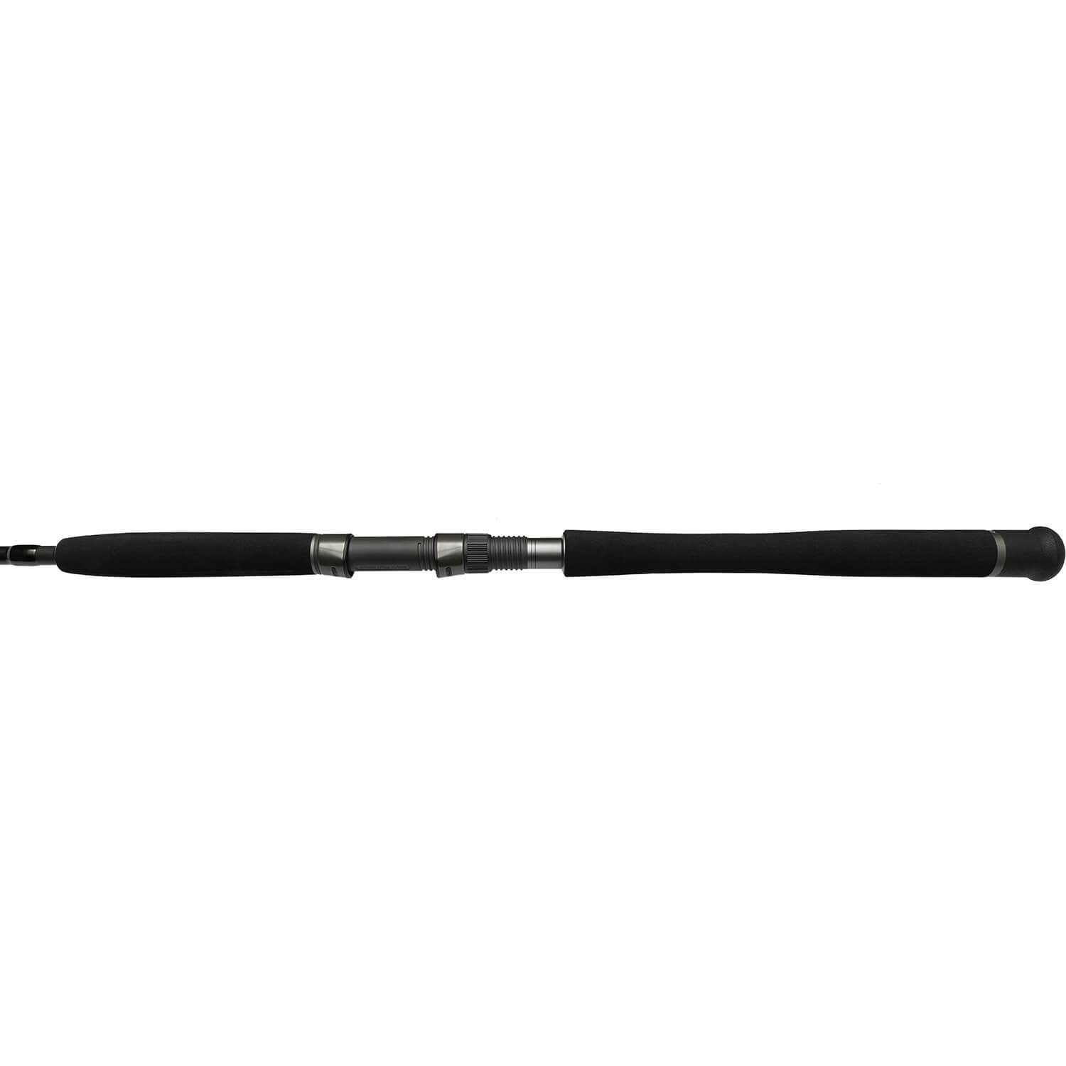 Bullseye Fishing Spinnrute Bullseye Nazgul V Wallerrute 1,85m 180g, (2-tlg)