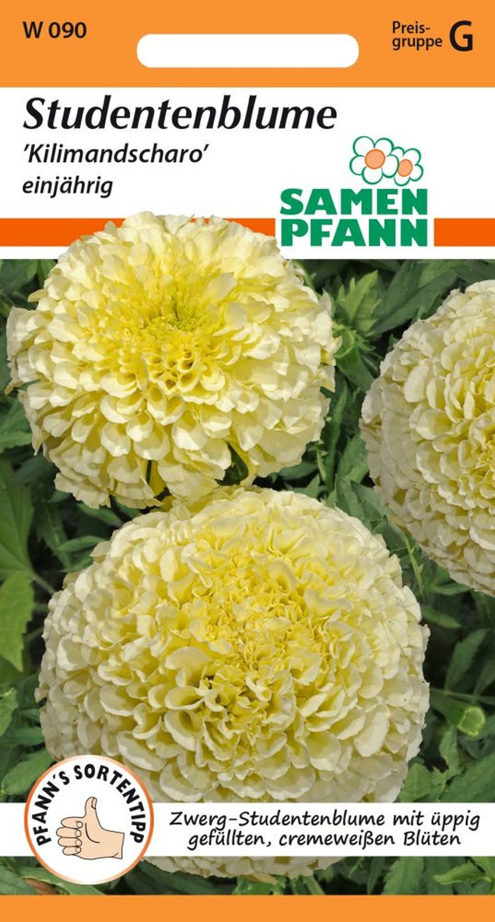 SAMEN PFANN Blumensamen Tagetes, Kilimandscharo - Saatgut Tagetes-Samen Sam günstig online kaufen