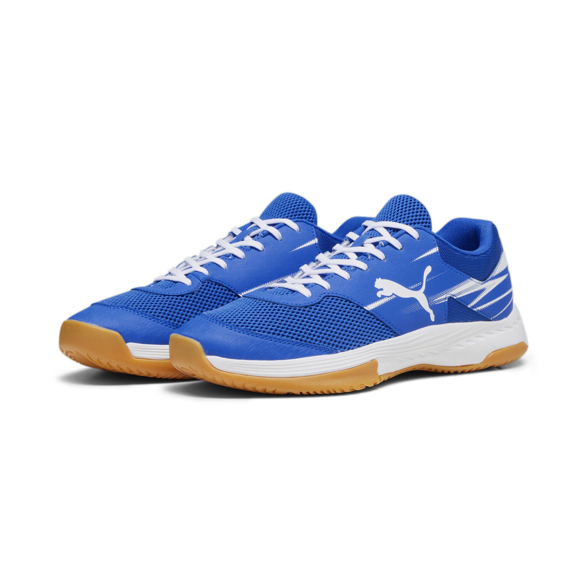 PUMA Varion II Handballschuhe Erwachsene Trainingsschuh günstig online kaufen