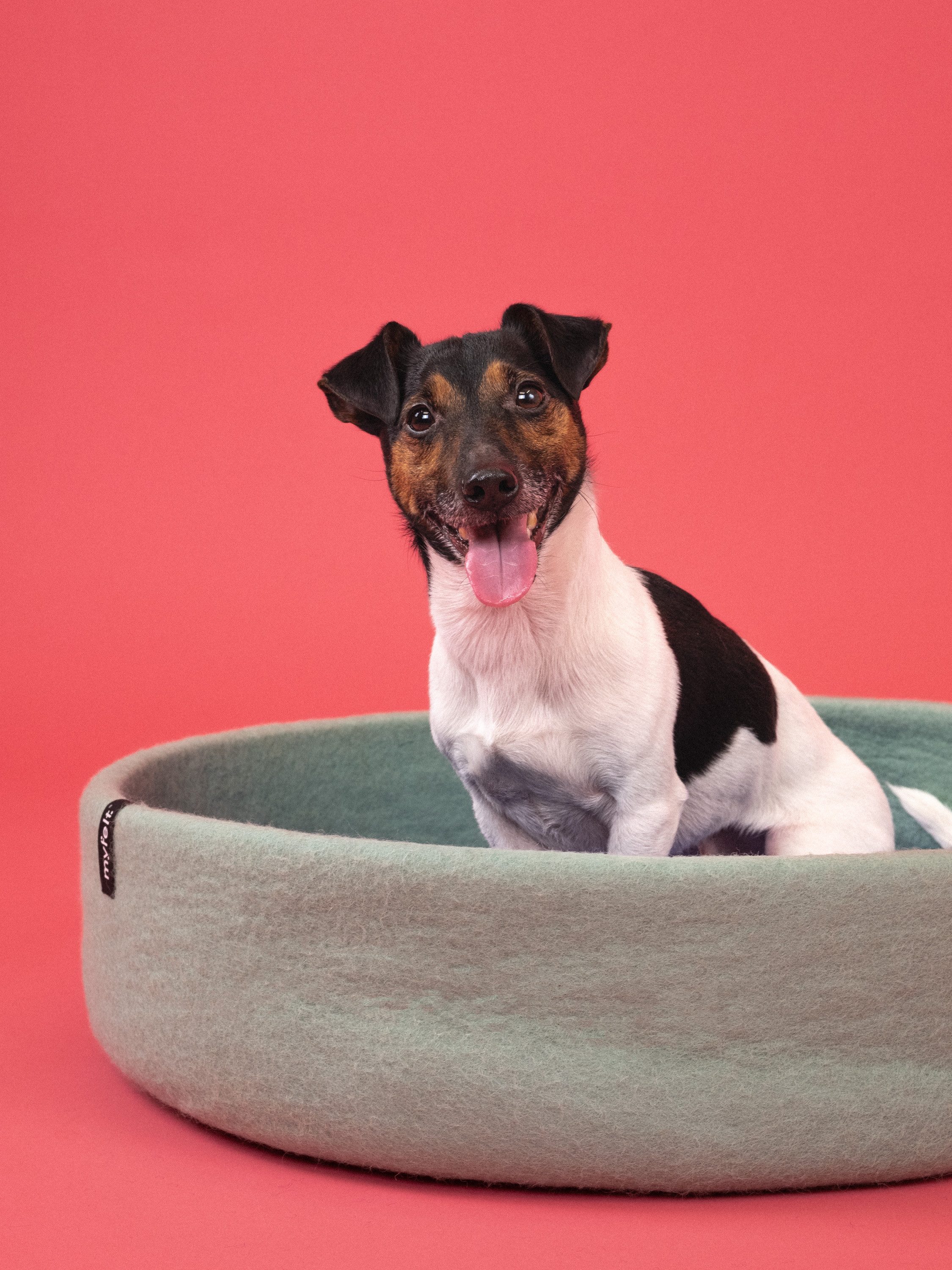 myfelt Tierkorb Filz Hundekorb mit Inlay, aus 100% reiner Schurwolle, antibakteriell und schmutzabweisend, natürlich und ökologisch