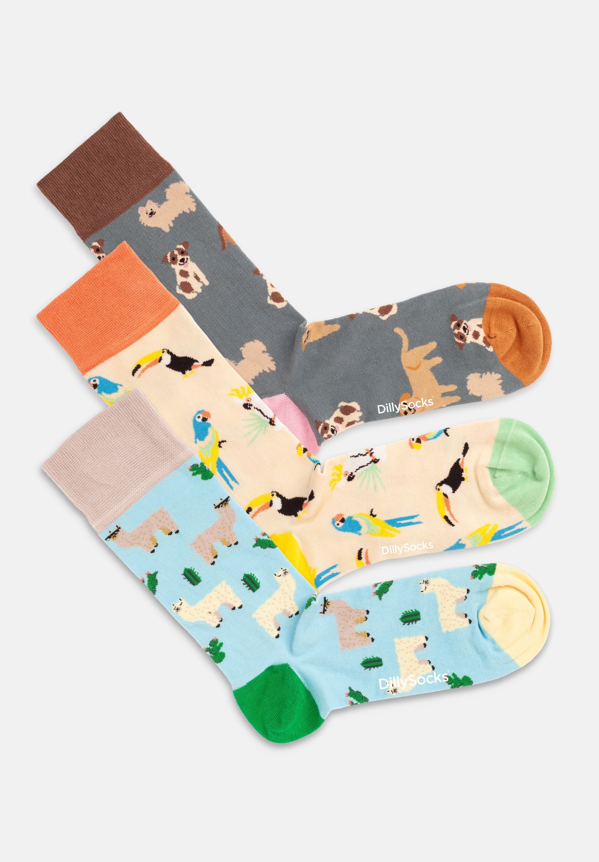 DillySocks Basicsocken Animal Attitude Aus Baumwolle & recyceltem Polyamid