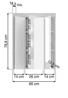 xonox.home Badezimmerspiegelschrank Scout (Badschrank grau Rauchsilber, BreitexHöhe 60x79 cm) 3-türig