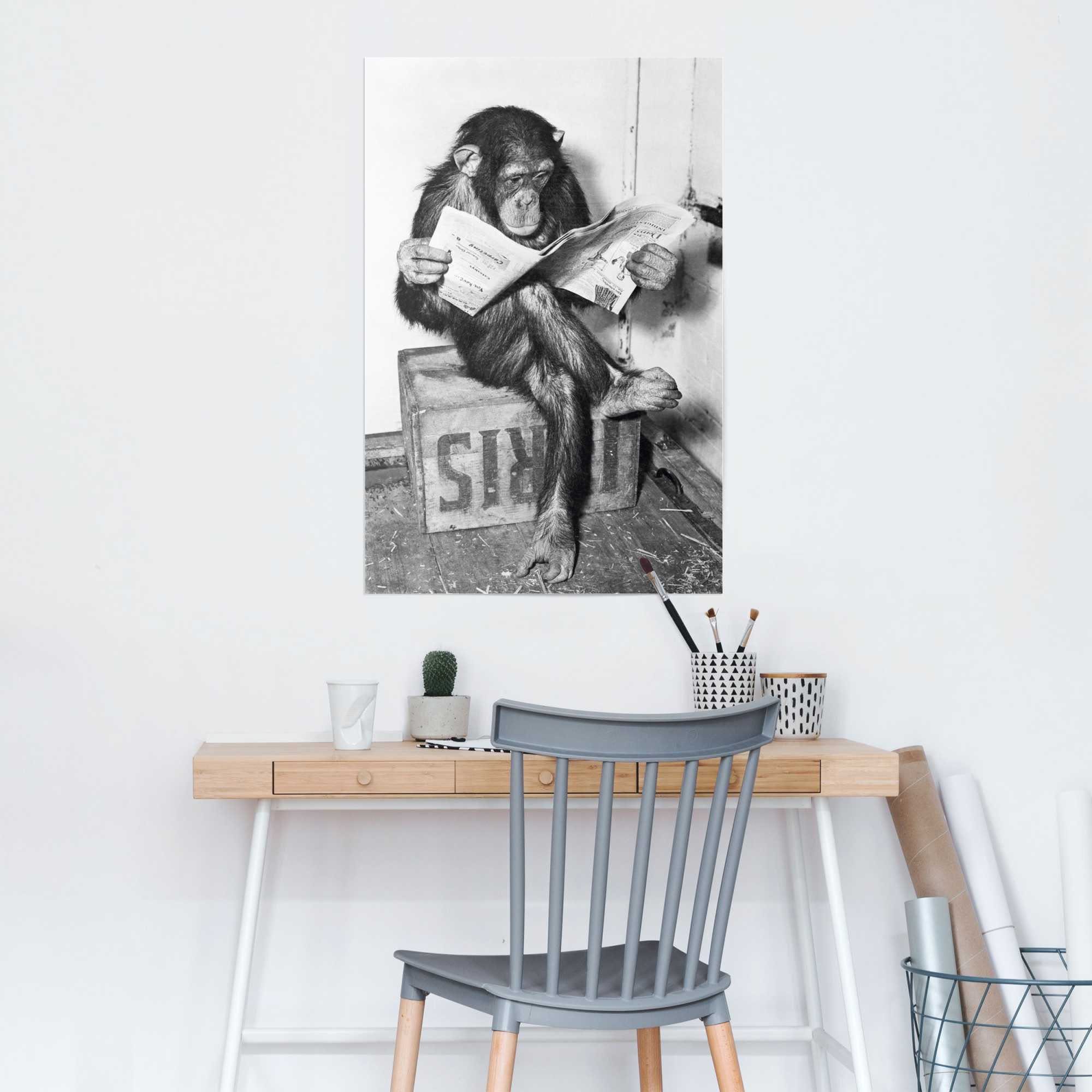 Reinders! Poster »Chimp Zeitung Affe Schimpanse«, (1 Stück)-HomeTrends