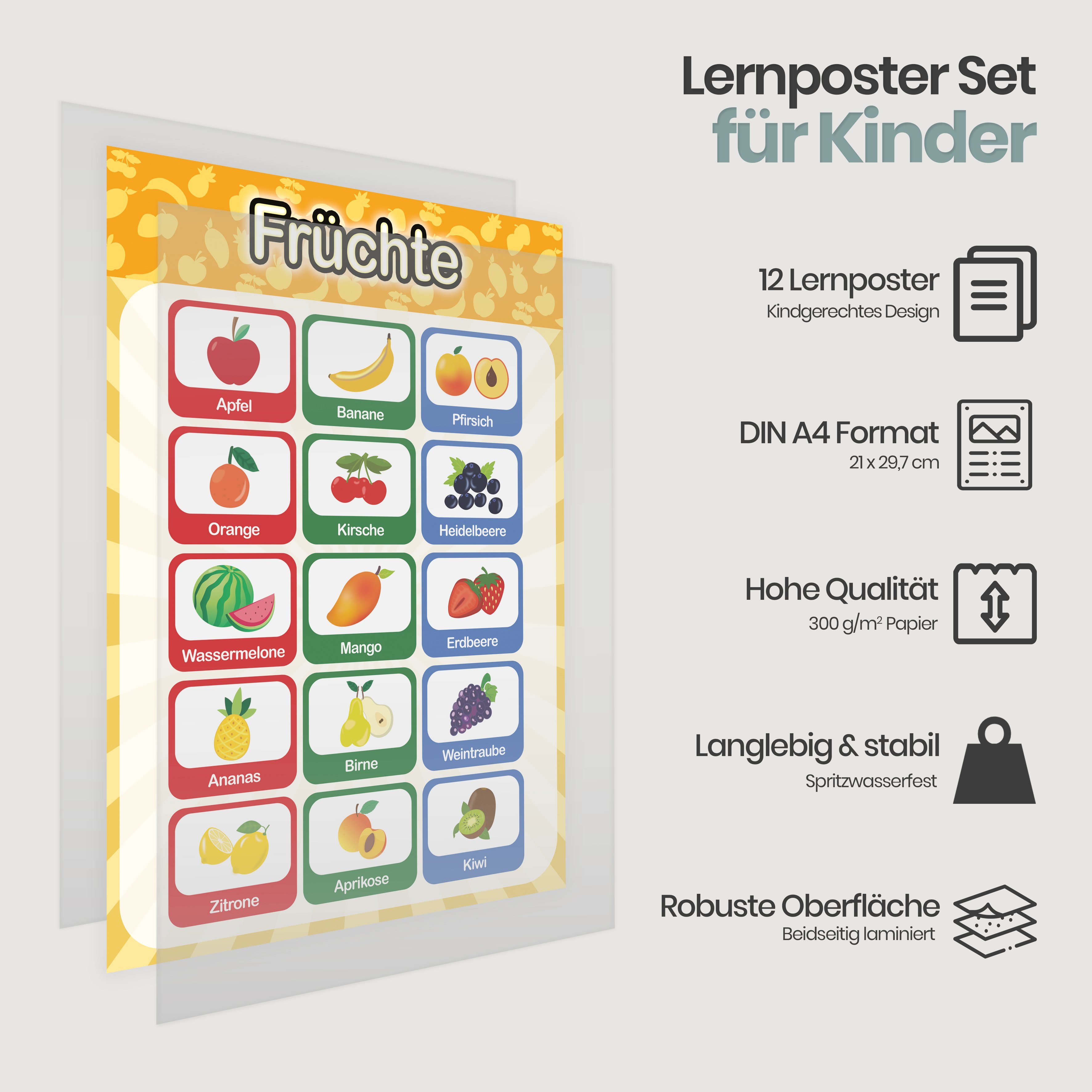 Likarto Poster 12 pädagogische Montessori Lernposter, günstig online kaufen