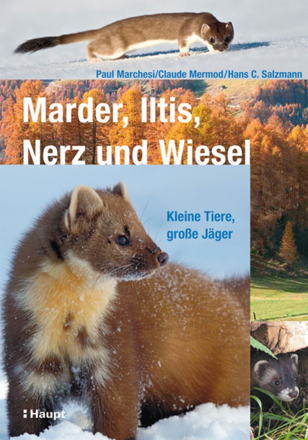 Marder, Iltis, Nerz und Wiesel / Paul Marchesi, Claude Mermod, Hans C. Salzmann