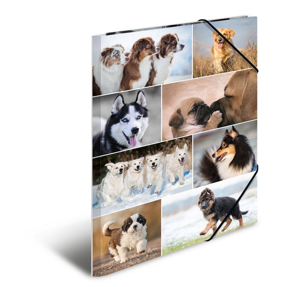 Thumbnail - HERMA Organisationsmappe Sammelmappe DIN A3 Karton Tiere Hunde