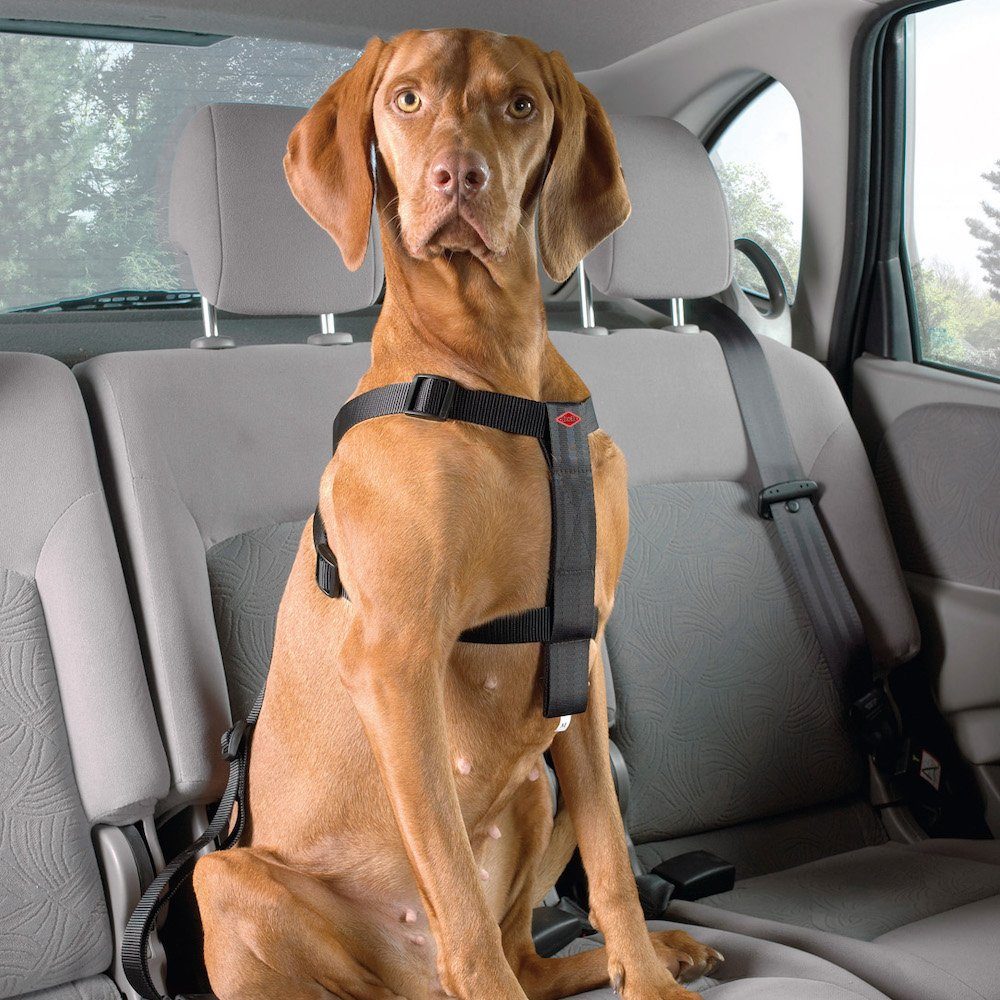 D&D Autohundegeschirr Autogeschirr Chest Girth