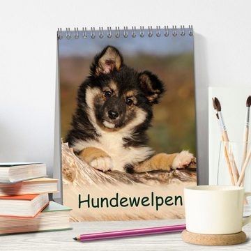 CALVENDO Wandkalender Hundewelpen (Tischkalender 2024 DIN A5 hoch), CALVENDO Monatskalender
