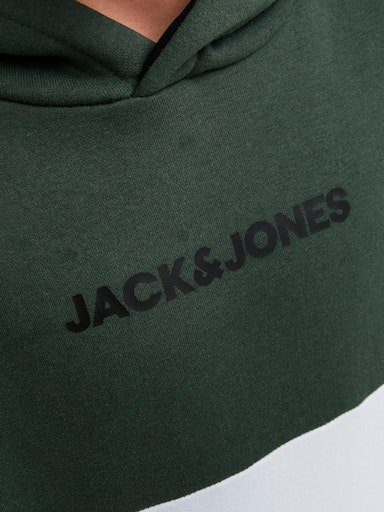 SWEAT Hoodie JJEREID Junior Jack Jones & Mountain SN View BLOCKING JNR HOOD