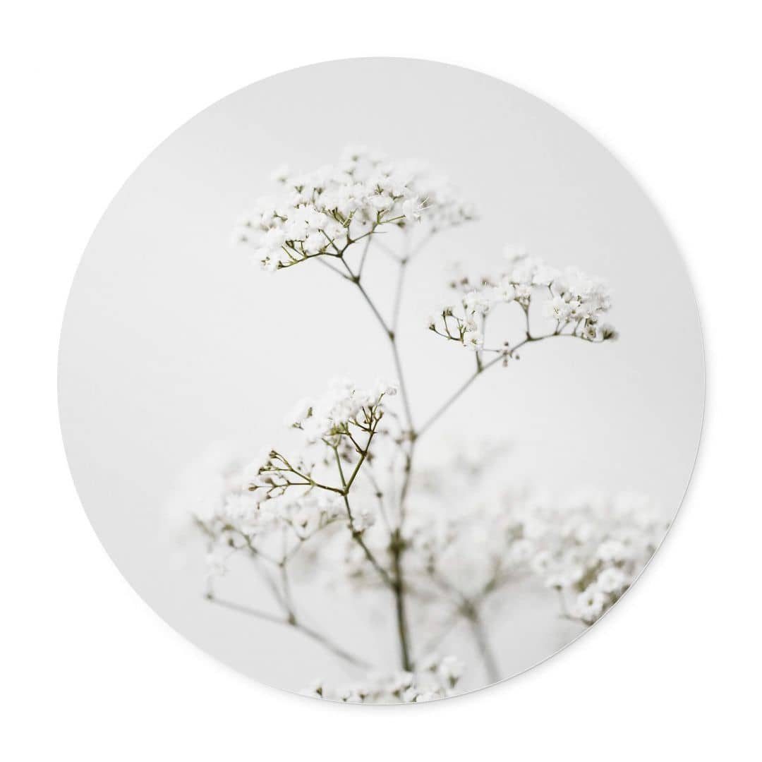 K&L Wall Art Poster Wandbild Poster Rund Blumenfotografie Annie Wiesenkerbel Boho Deko, Wohnzimmer Kunstdruck floral
