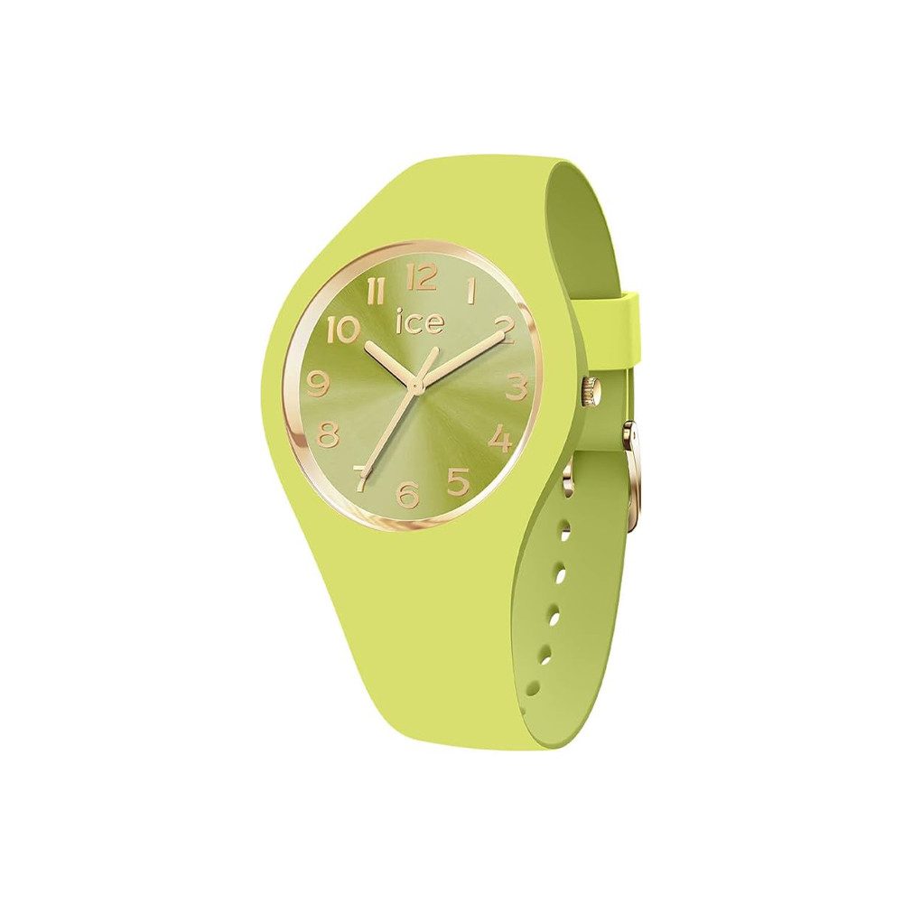 ice-watch Quarzuhr Ice-Watch Ice Duo Chic Lime (S) 021820, Ice-Watch Ice Duo Chic Lime (S)