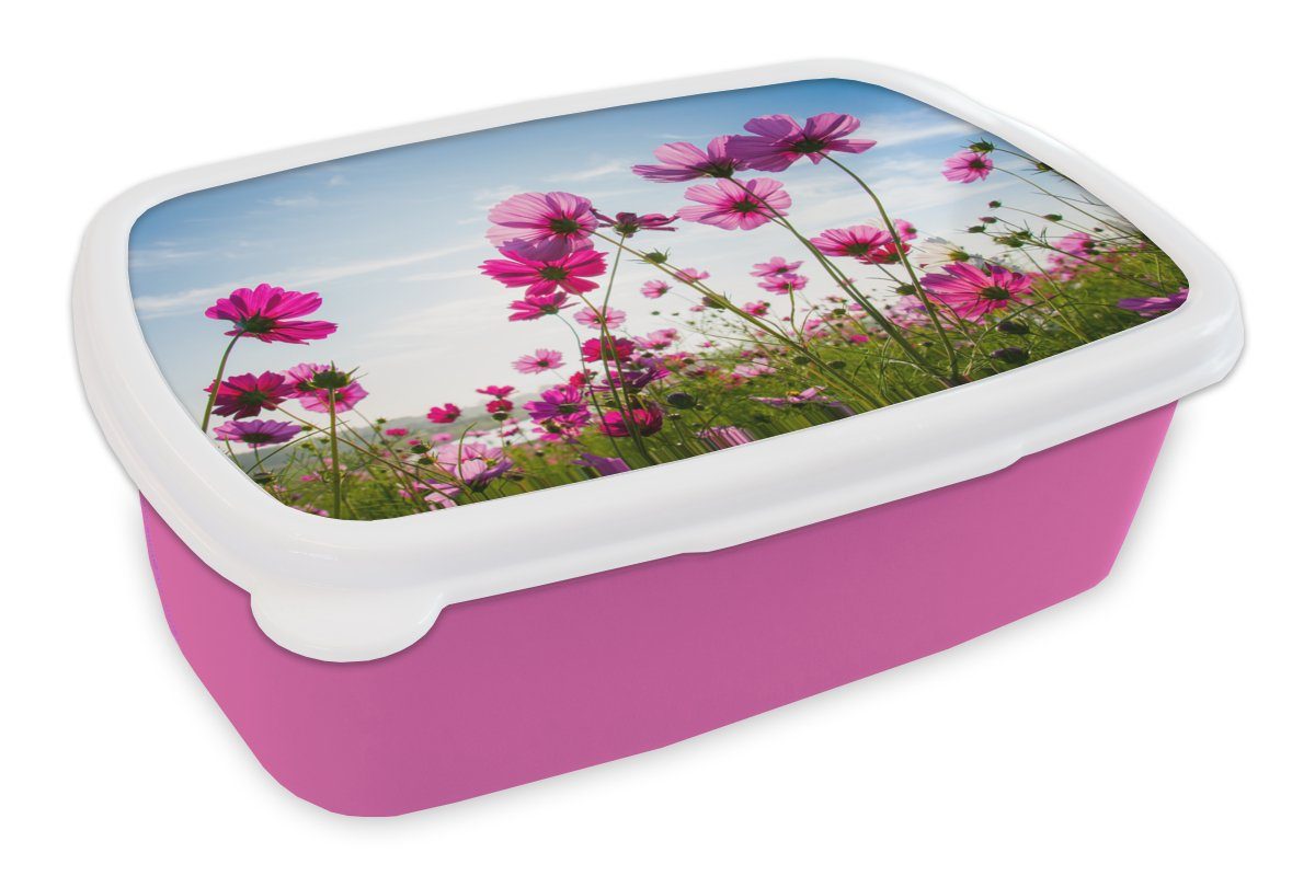 MuchoWow Lunchbox Blumen - Rosa - Cosmea, Kunststoff, (2-tlg), Brotbox für Erwachsene, Brotdose Kinder, Snackbox, Mädchen, Kunststoff