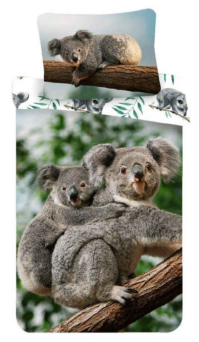 Kinderbettwäsche Koala, Sweet Home, Renforcé, 2 teilig
