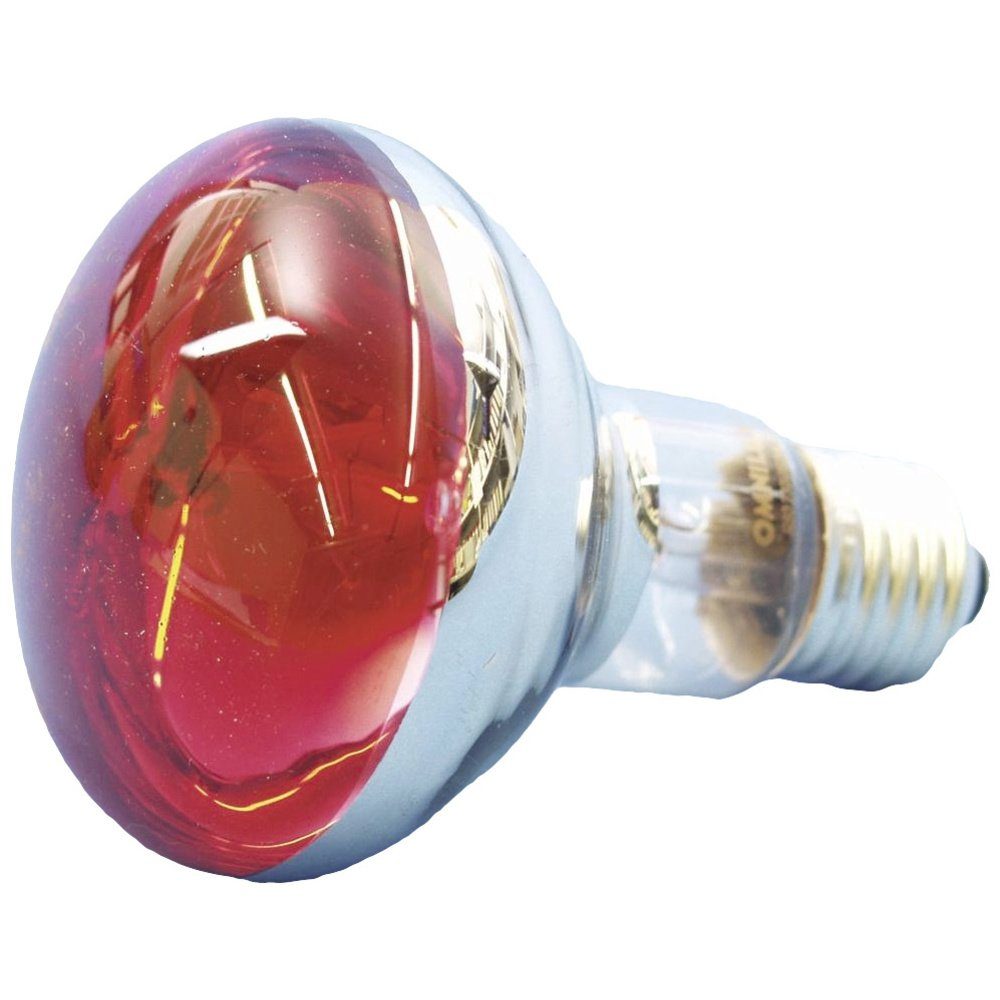 EUROLITE LED-Leuchtmittel Eurolite 9210360U Halogen E27 günstig online kaufen