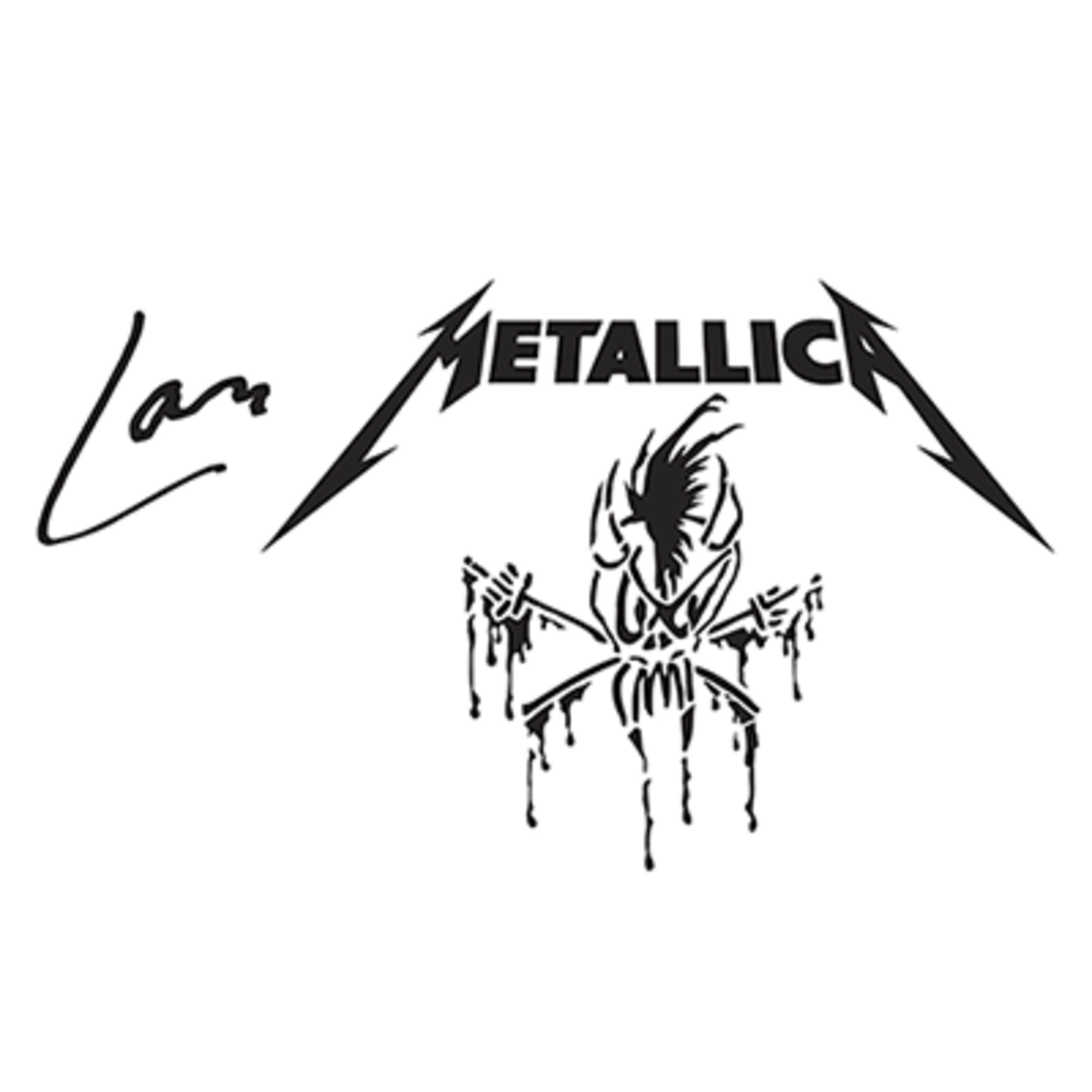 Ahead Sticks Drumsticks (Lars Ulrich Aluminium Sticks LU-SGL Metallica Long Taper, Sticks, Beater und Mallets, Sonstige), Lars Ulrich Aluminium Sticks, LU-SGL, Metallica, Long Taper -