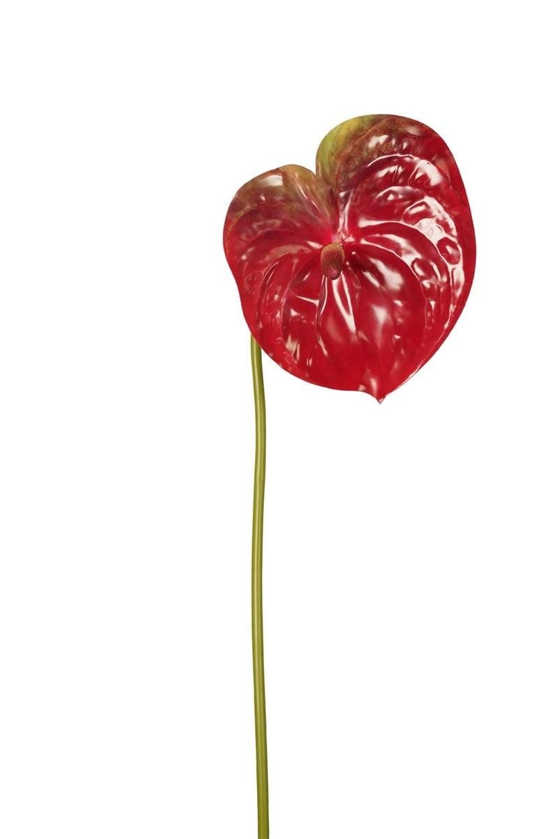 Kunstblume Künstliche Blume Anthurium SAMBANA, rot-grün, 65cm Flamingoblume, artplants, Höhe 65 cm