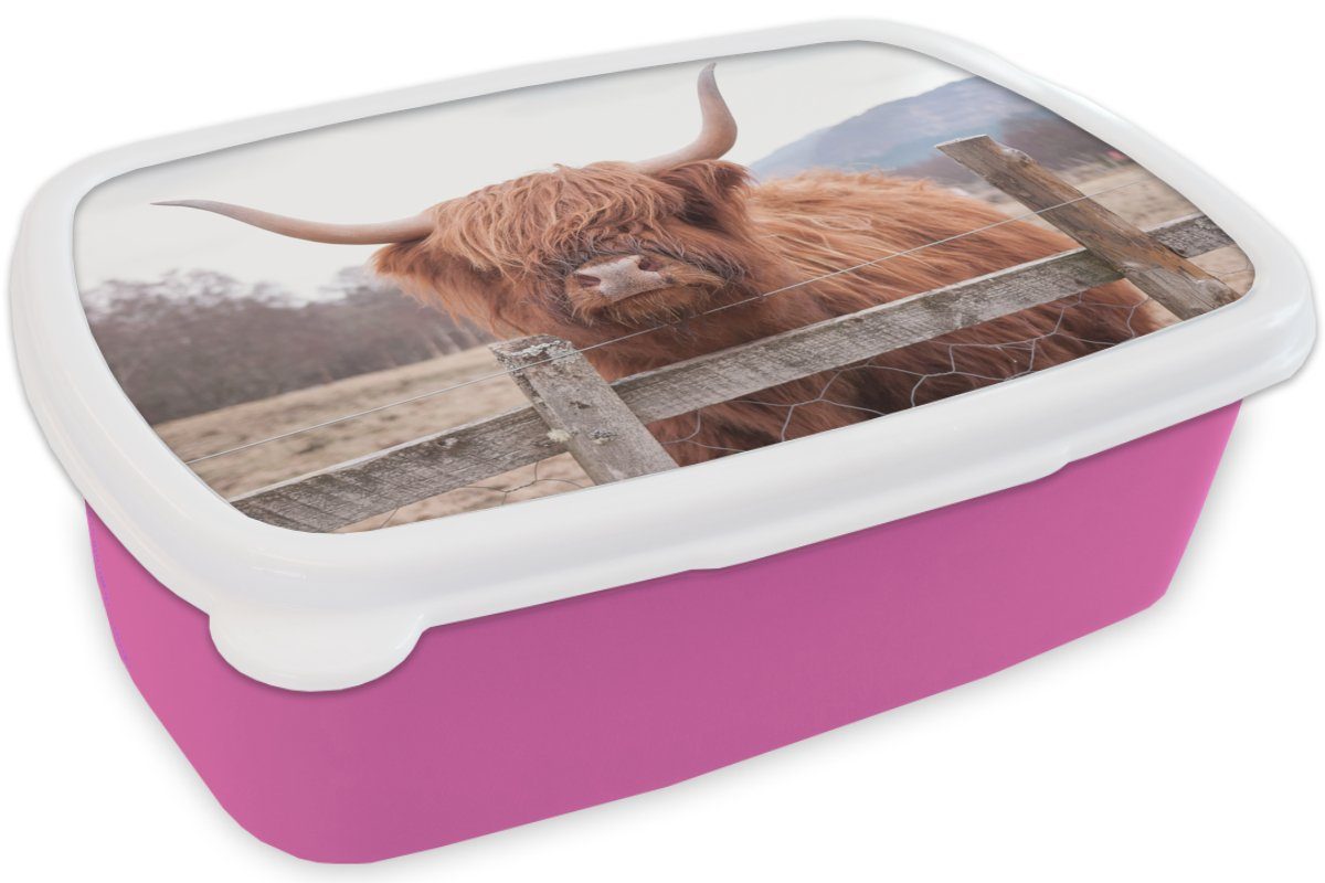 rosa - Brotbox Snackbox, Erwachsene, Mädchen, - MuchoWow Kunststoff, für Gras Zaun, Scottish (2-tlg), Kunststoff Brotdose Highlander Lunchbox Kinder,
