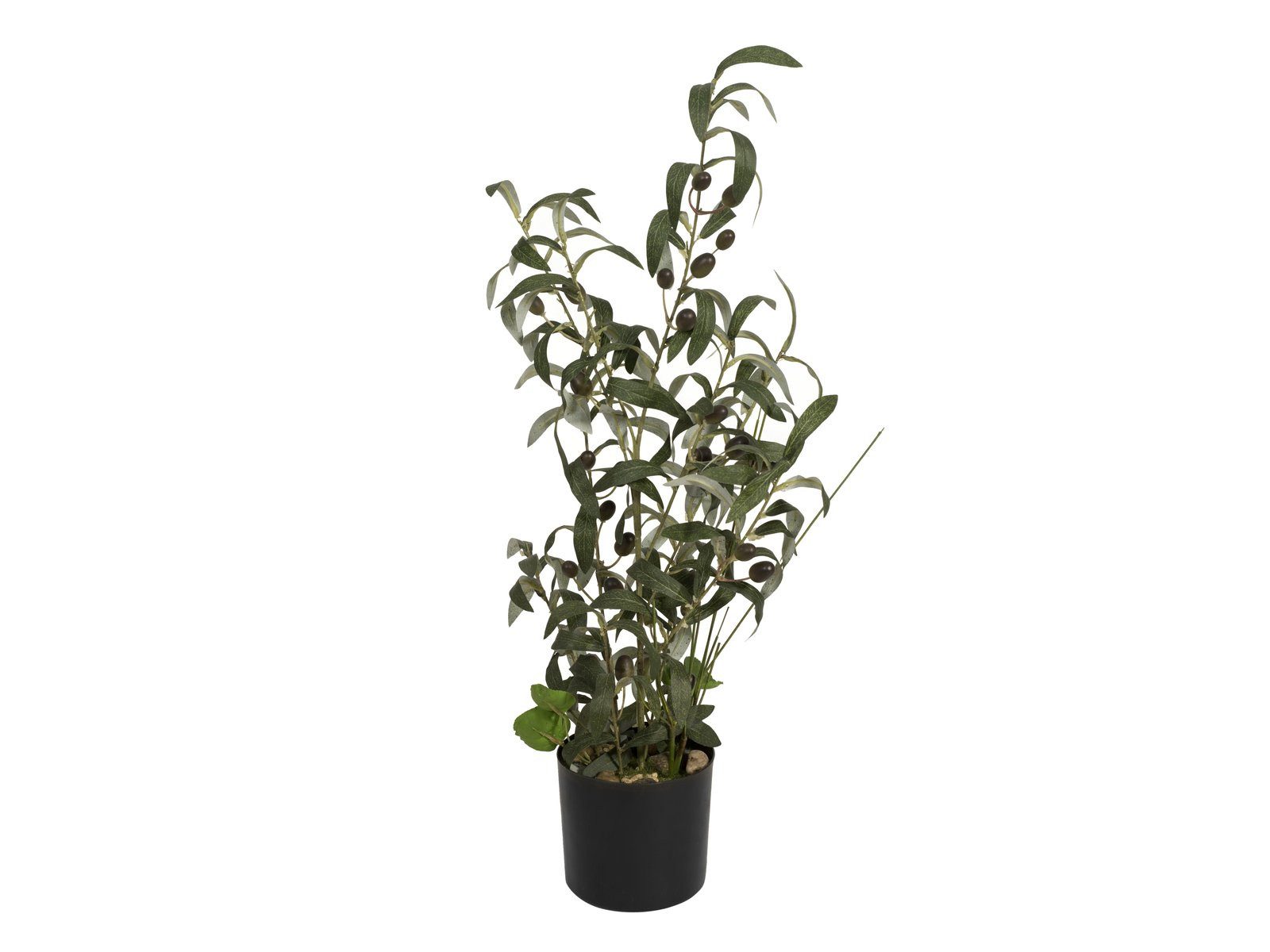 Kunstbaum Olivenbäumchen, EUROPALMS, Höhe 68 cm, verschiedene Größen erhältlich