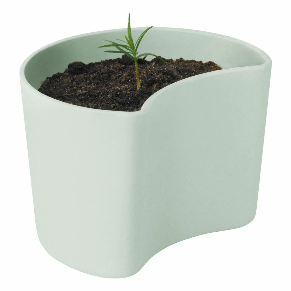RIG-TIG Anzuchttopf YOUR TREE mit Samen Green. € 14,95