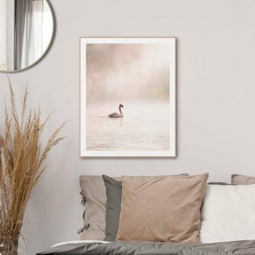 Reinders! Poster Schwan im Nebel