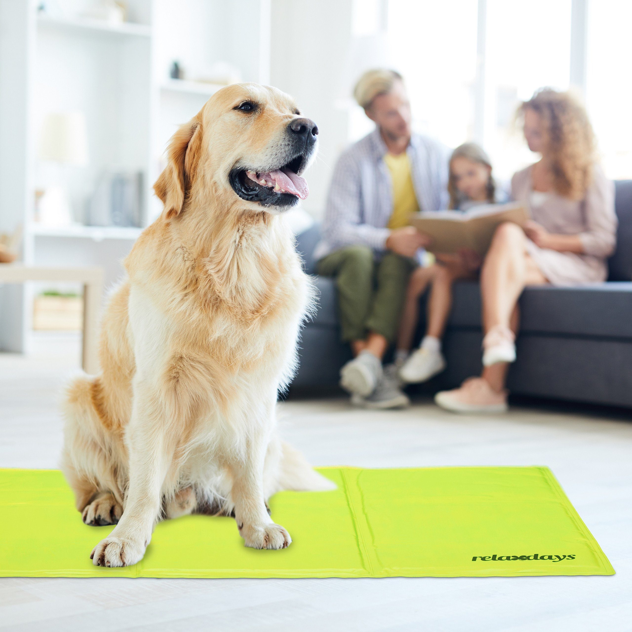 relaxdays Hundematte Grüne Kühlmatte für Hunde, günstig online kaufen