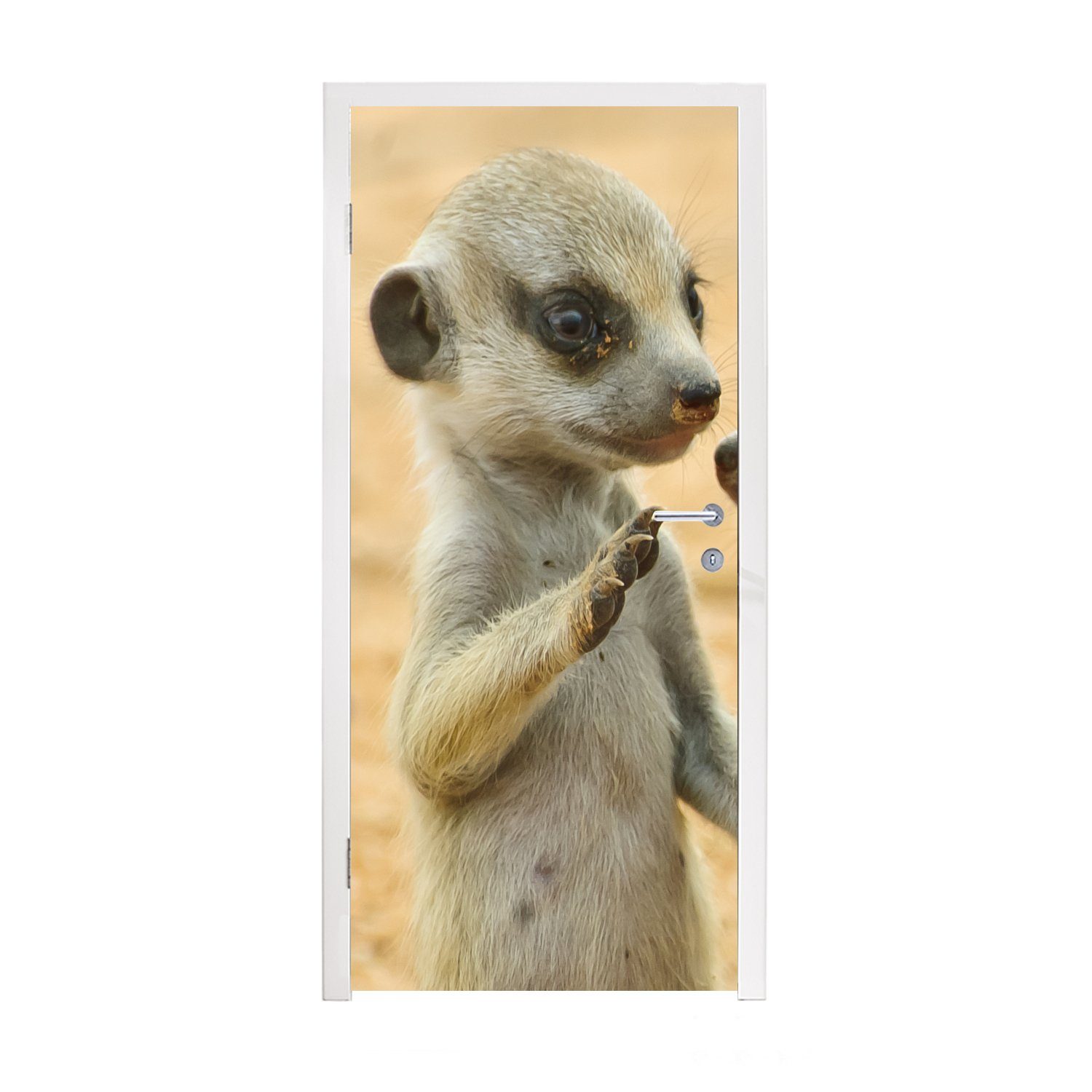 MuchoWow Türtapete Erdmännchen - Braun - Tier, Matt, bedruckt, (1 St), Fototapete für Tür, Türaufkleber, 75x205 cm