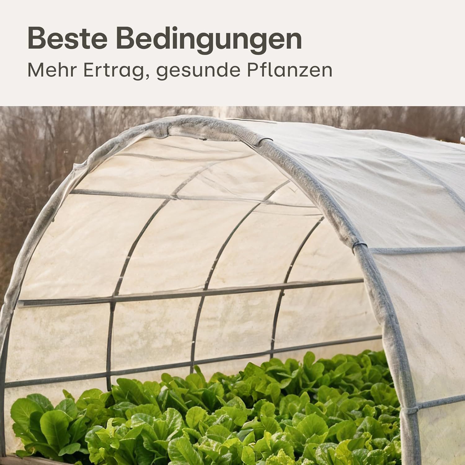 Praknu Gartenvlies 20m² Gartenvlies für Pflanzen 2 x 10m - 17g/m², (1-St), reißfest, UV-stabil, zuschneidbar, wasserdurchlässig, robust