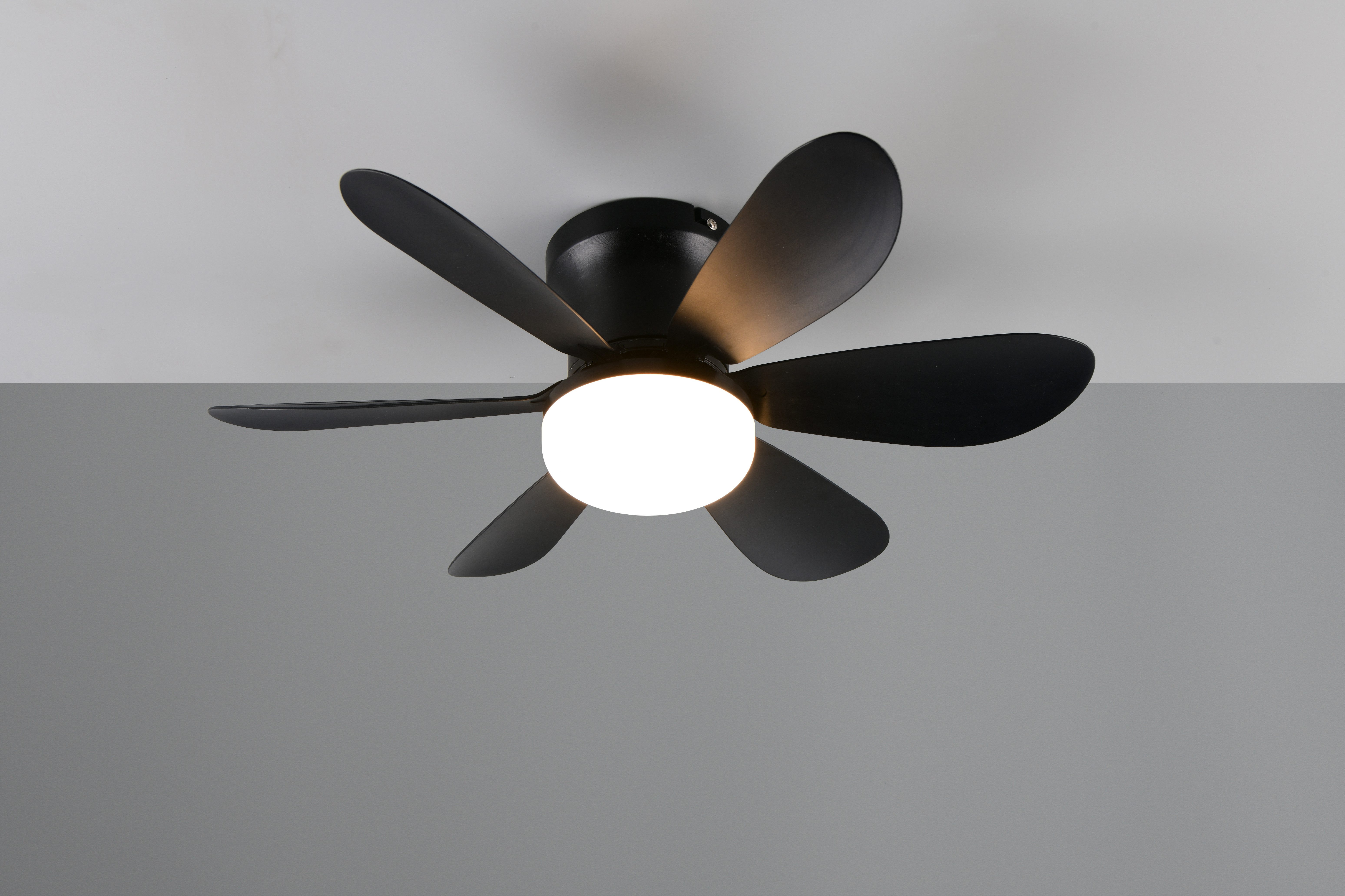 Reality Leuchten LED Deckenleuchte LUND mit Ventilator, Deckenventilator mit Licht inkl Fernbedienung, Ventilatorfunktion, LED fest integriert, warmweiß - kaltweiß, 3 Geschwindigkeiten Timer Vor- & Rücklauf LED dimmbar CCT Nachtlicht