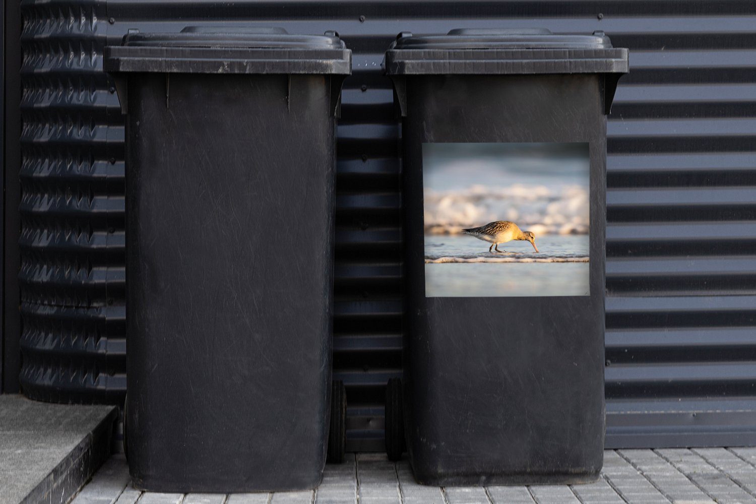 Uferschnepfe Abfalbehälter am Sticker, Wandsticker (1 Mülltonne, rollenden Container, St), MuchoWow Mülleimer-aufkleber, Meer