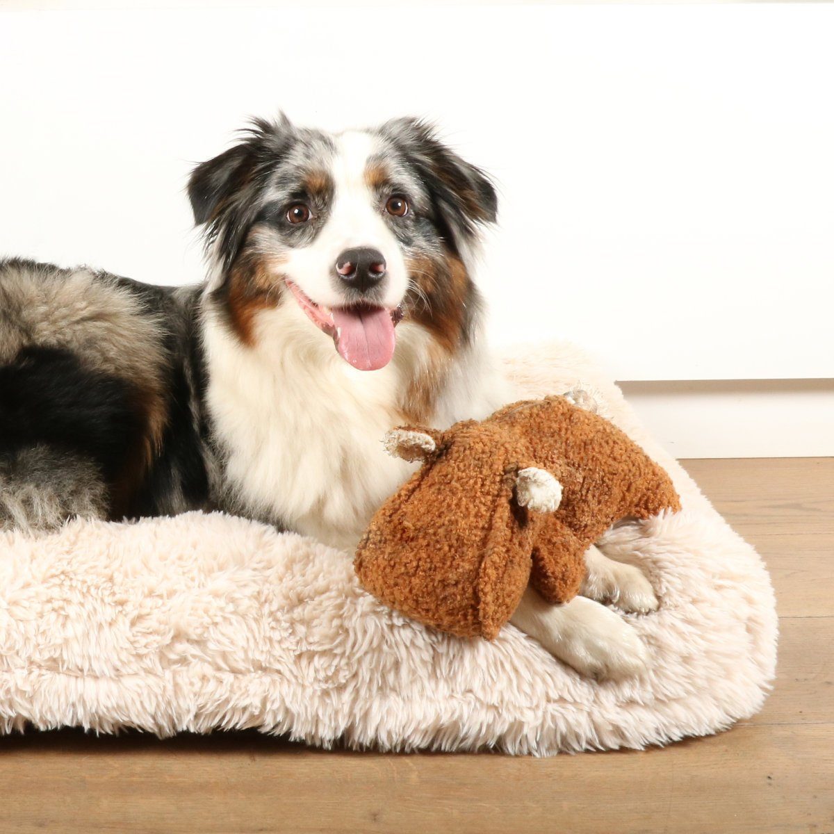 D&D Tierkuscheltier Hundespielzeug Emmy Teddystoff mit Quietscher braun