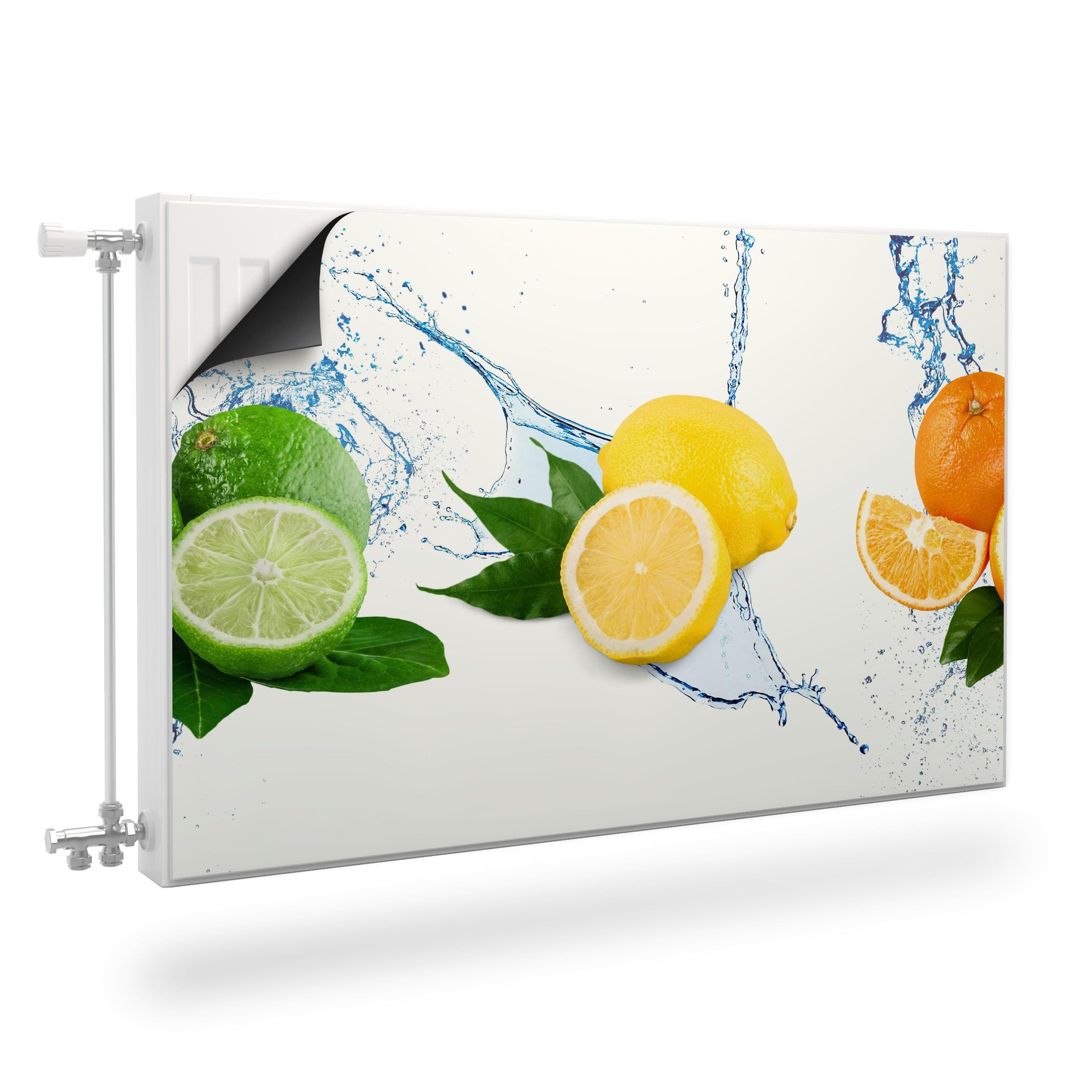 Muralo Magnetfolie Heizkörperverkleidung – Heizkörperabdeckung magnetisch Magnetmatte, Zitrusfrüchte – Wasser – 80x60 cm, abriebfest, abwischbar