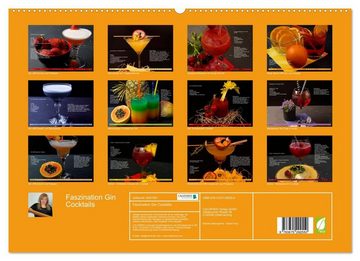 CALVENDO Wandkalender Faszination Gin Cocktails (Premium, hochwertiger DIN A2 Wandkalender 2023, Kunstdruck in Hochglanz)