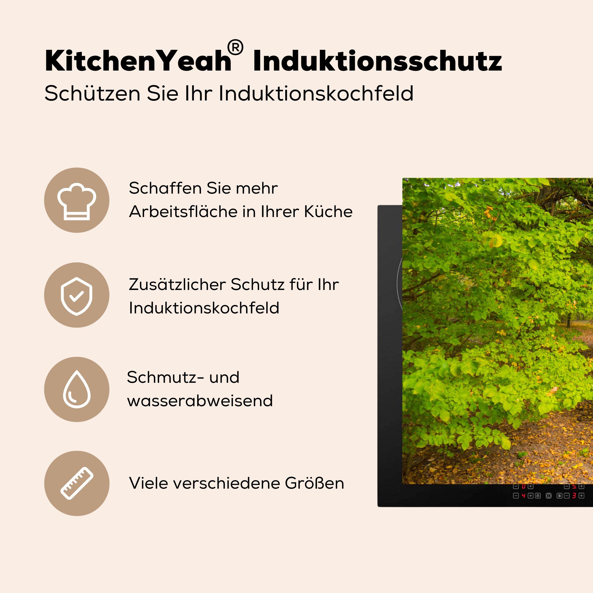 MuchoWow Herdblende-/Abdeckplatte Ulmenwald im Vinyl, Ceranfeldabdeckung Herbst, 81x52 tlg), die (1 für Induktionskochfeld cm, Schutz küche