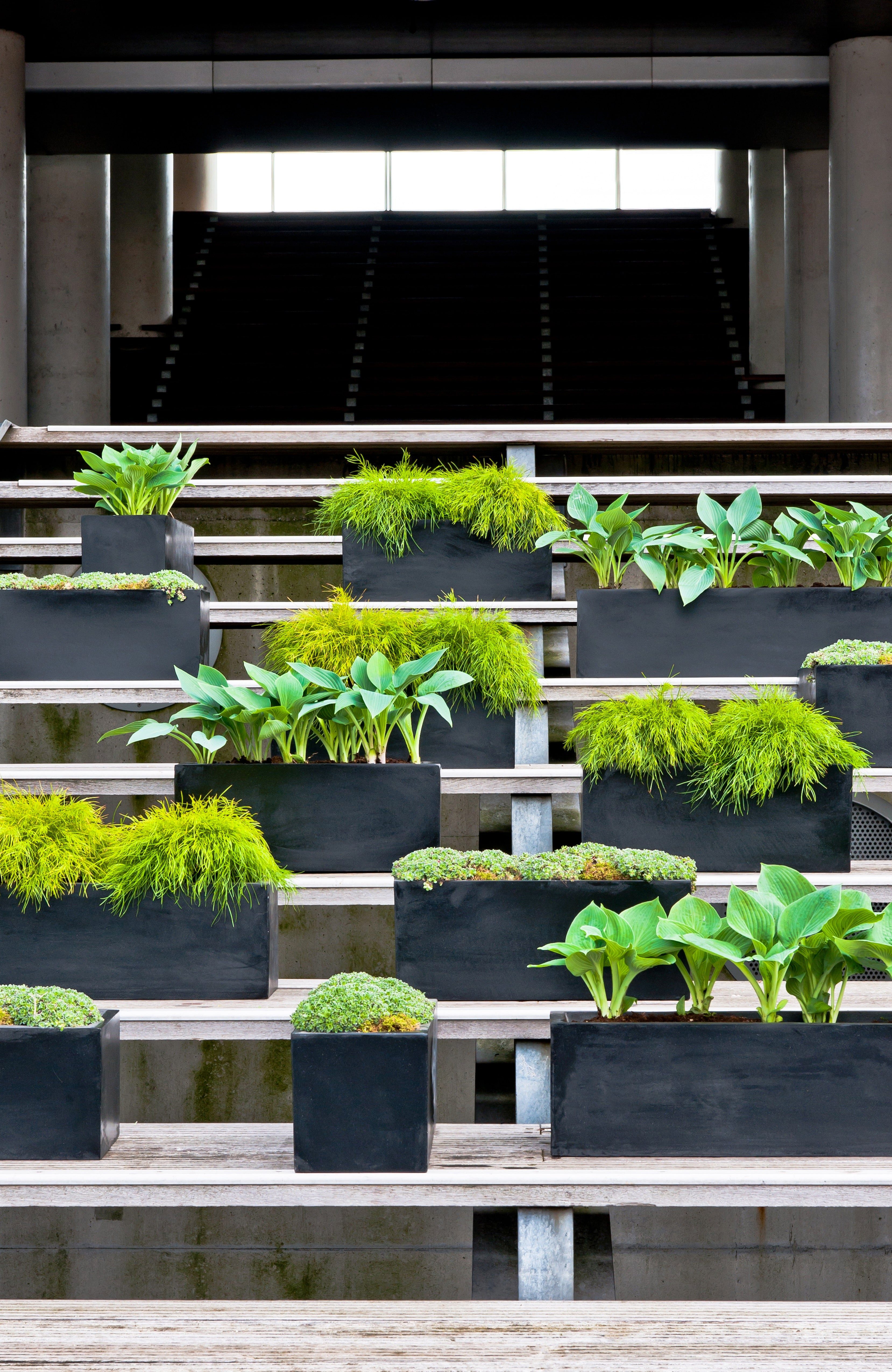 finestgreen Balkonkasten Balcony, Robust & leicht – frostfest für Innen- und Außenbereich