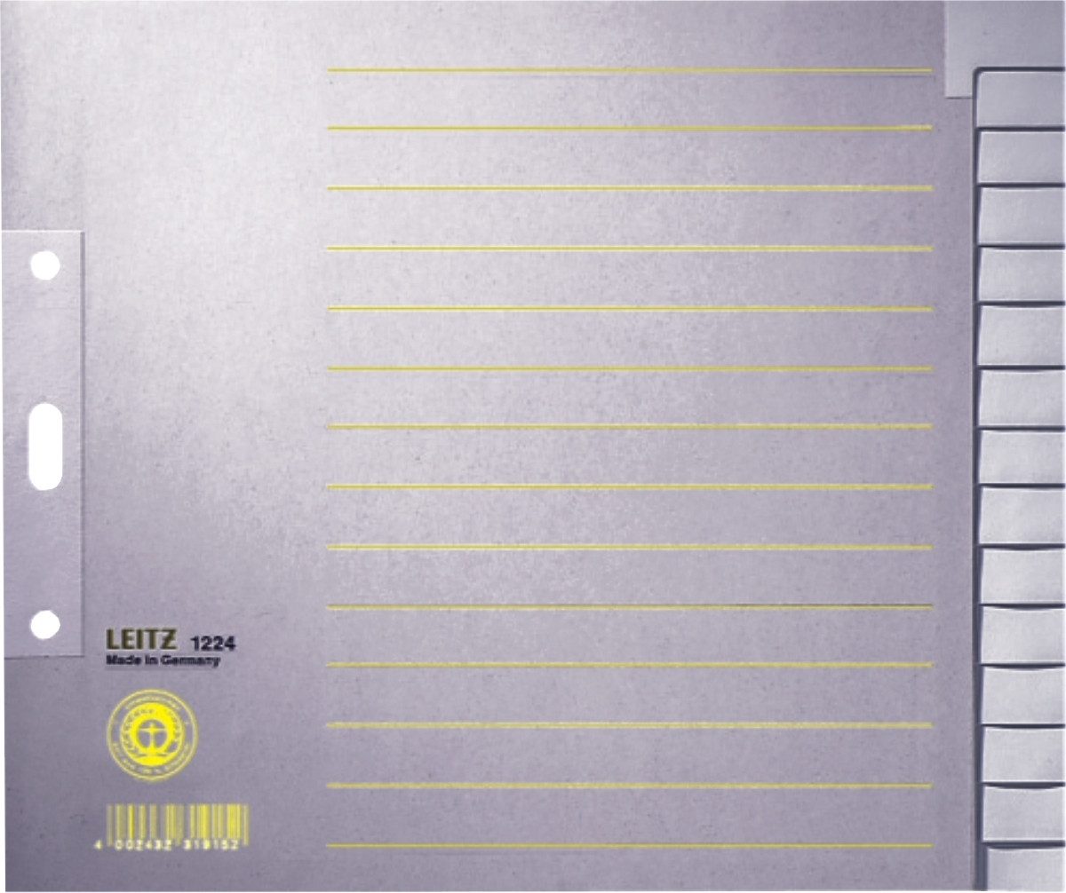 LEITZ Aktenordner Register A4 blanko 15-teilig 100g/qm grau