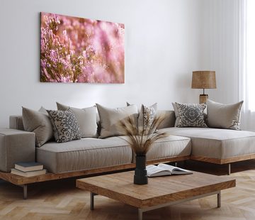 Sinus Art Leinwandbild 120x80cm Wandbild auf Leinwand Besenheide Pflanze Sommer Blumen Sonnen, (1 St)