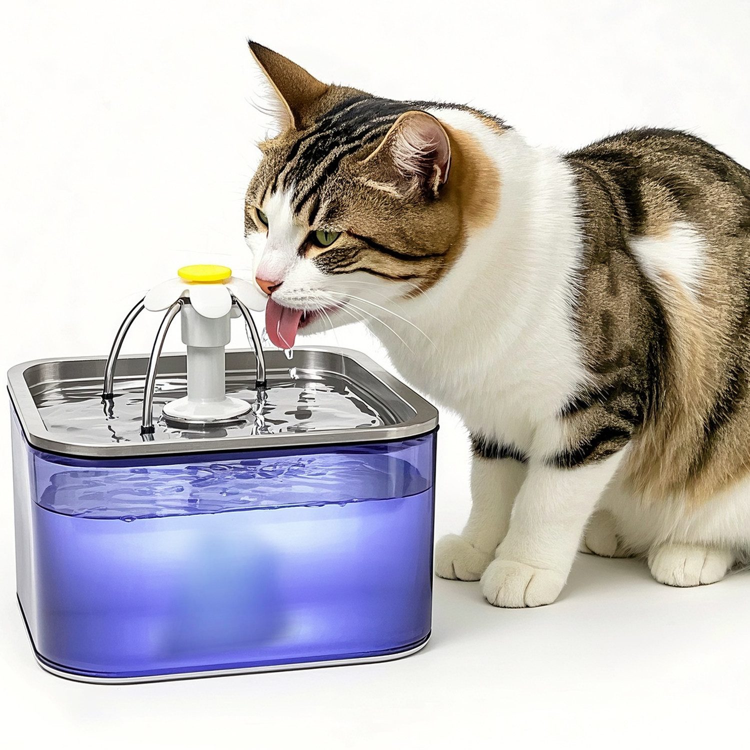 AIMAX Trinkbrunnen Katzenbrunnen Edelstahl 3L Trinkbrunnen für Katze USB, ohne Stecker, Ultraleiser Wasserbrunnen mit Aktivkohlefilter Hundetrinkbrunnen