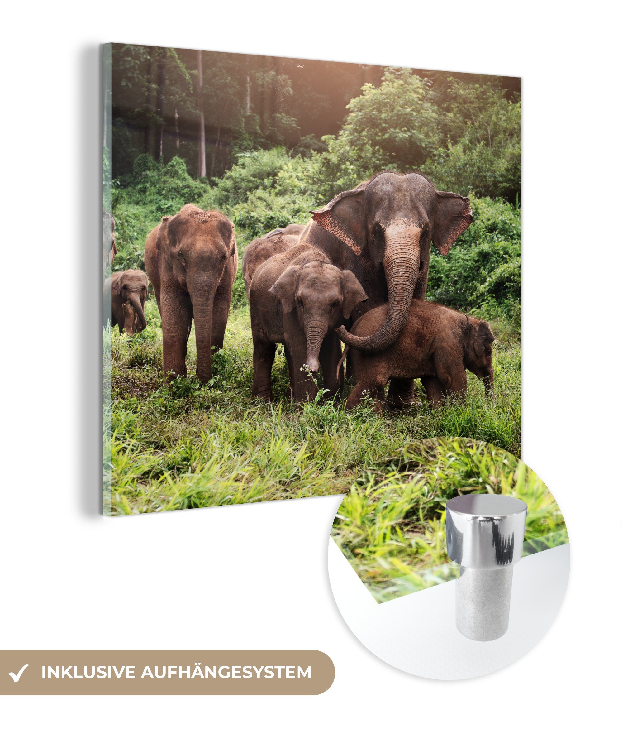 MuchoWow Acrylglasbild Elefant - Tiere - Wald - Gras - Grün, (1 St), Glasbilder - Bilder auf Glas Wandbild - Foto auf Glas - Wanddekoration