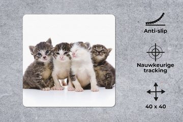 MuchoWow Gaming Mauspad Katze - Haustiere - Fell - Porträt (1-St), Mousepad mit Rutschfester Unterseite, Gaming, 40x40 cm, XXL, Großes