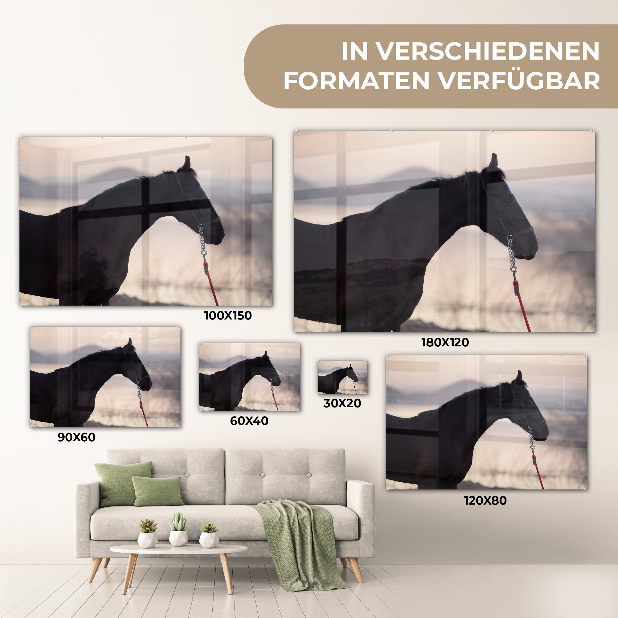 Pferd & (1 Sonnenaufgang Schlafzimmer Wohnzimmer - - St), Marwari, Acrylglasbilder Acrylglasbild MuchoWow