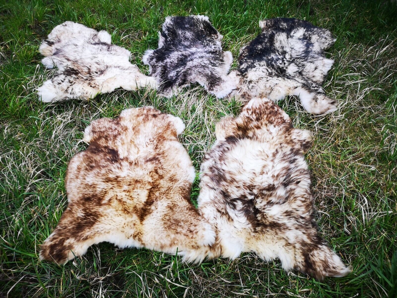 Provellus Fellteppich Geflammtes Öko Schaffell Lammfell günstig online kaufen