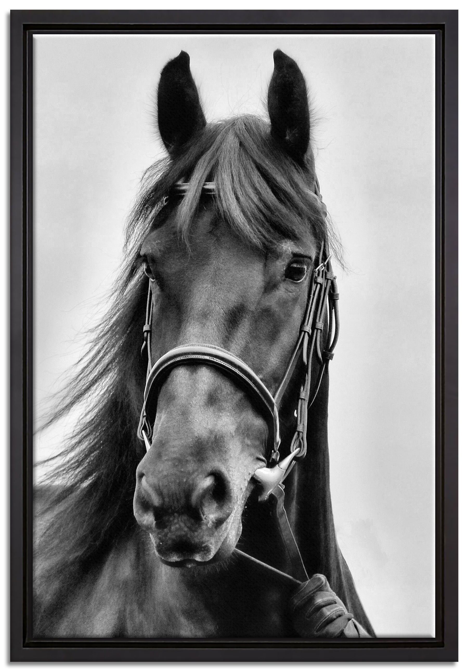 Pixxprint Leinwandbild braunes Pferd, bespannt, Zackenaufhänger inkl. Schattenfugen-Bilderrahmen St), einem Wanddekoration (1 fertig in Leinwandbild gefasst