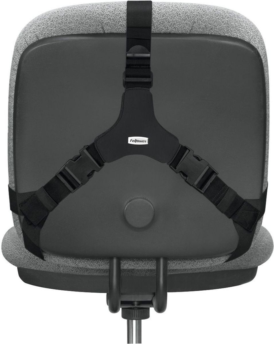 FELLOWES Stuhl Rückenstütze Professional Series HxBxT 36,5x37,5x5,5cm schwarz